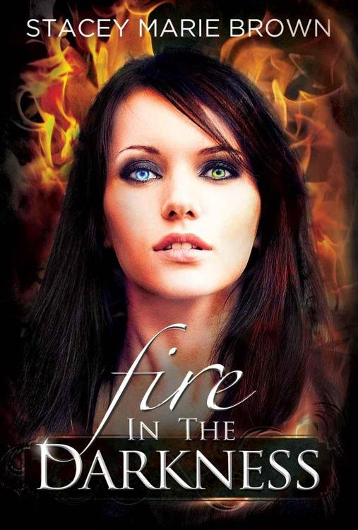 Cover of Fire In The Darkness (Darkness Series #2)