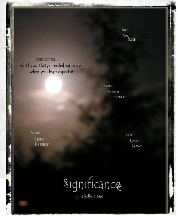 Cover of Significance