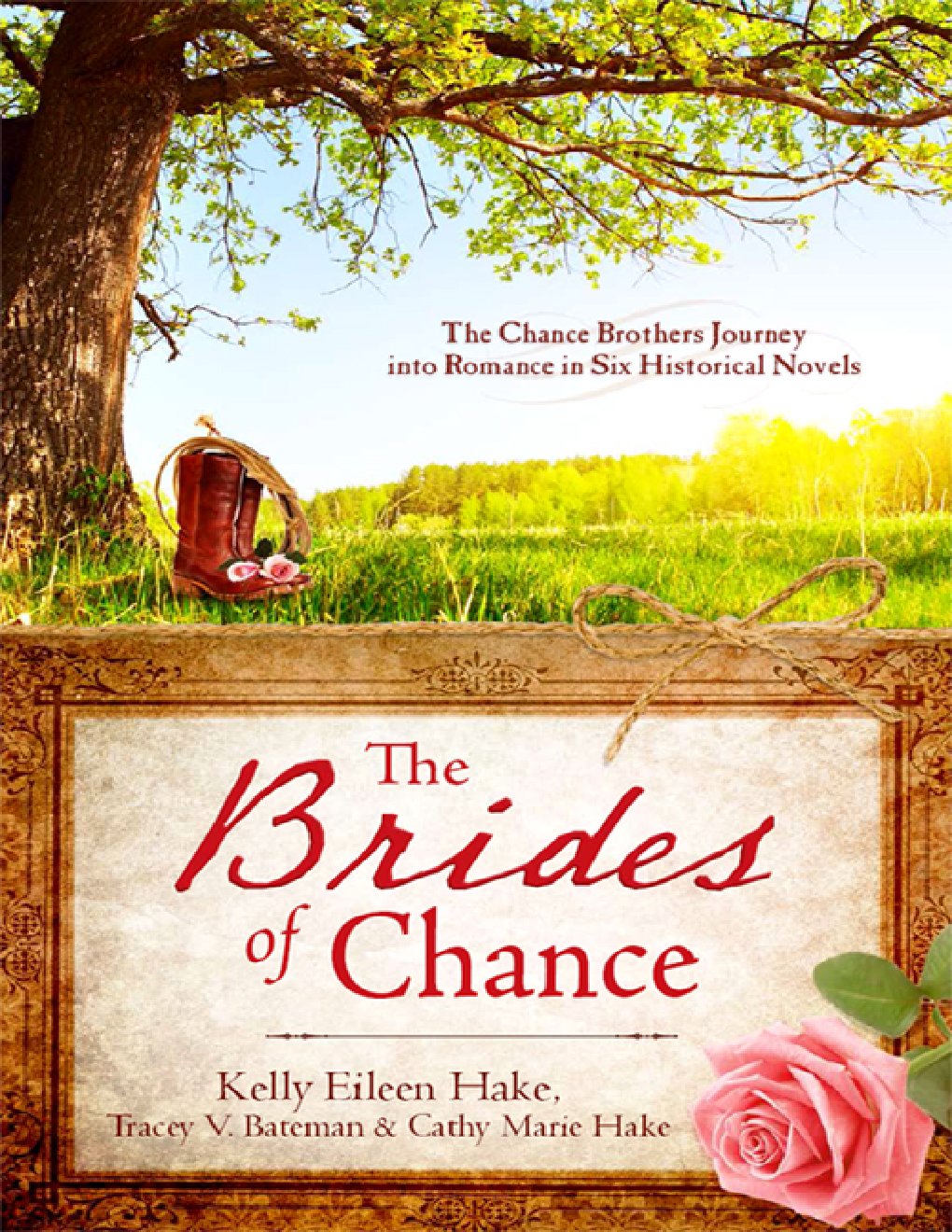 Cover of The Brides of Chance Collection