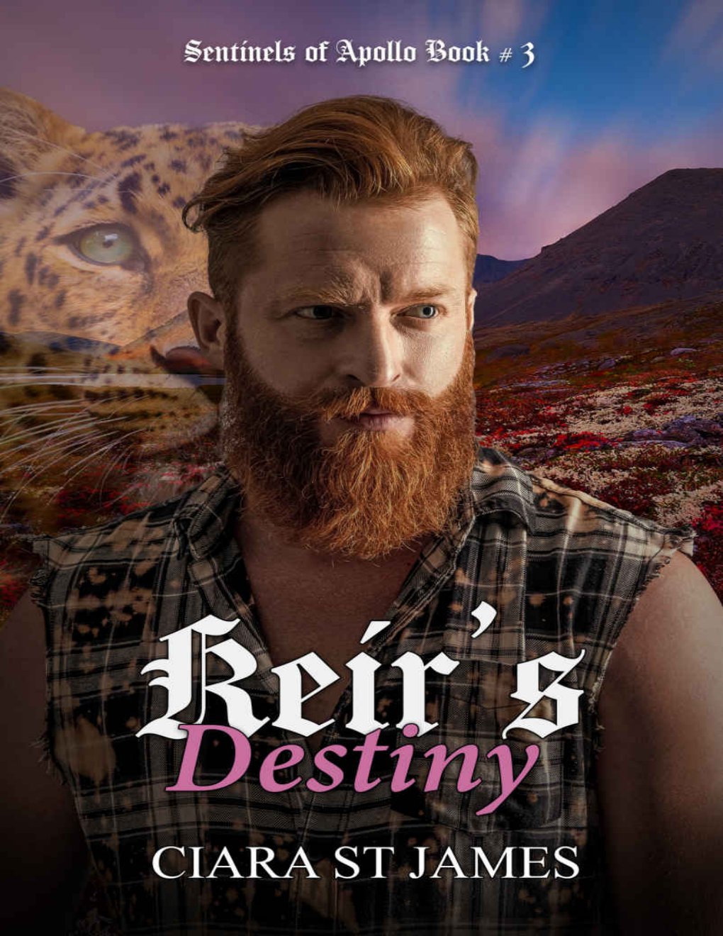 Cover of Keir's Destiny (2003)