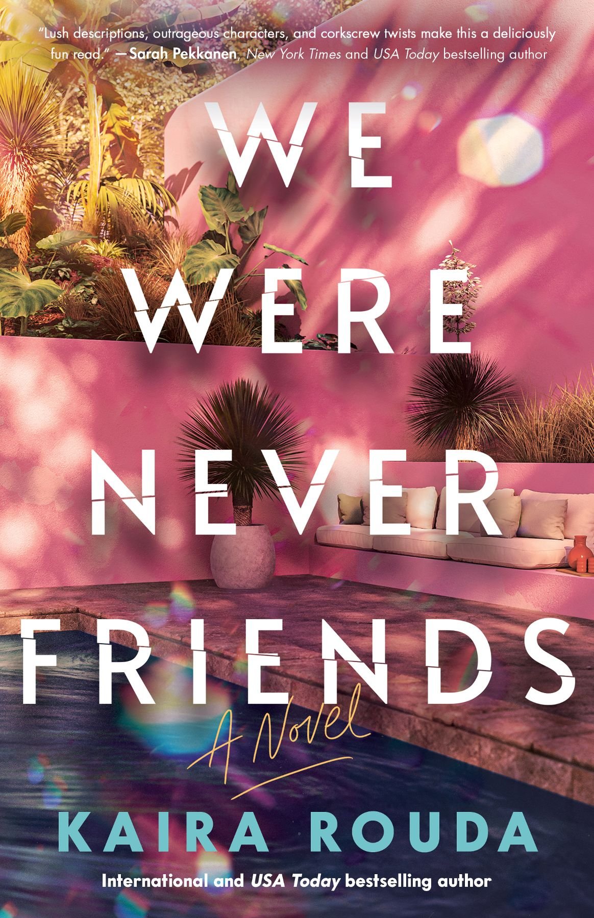 Cover of We Were Never Friends