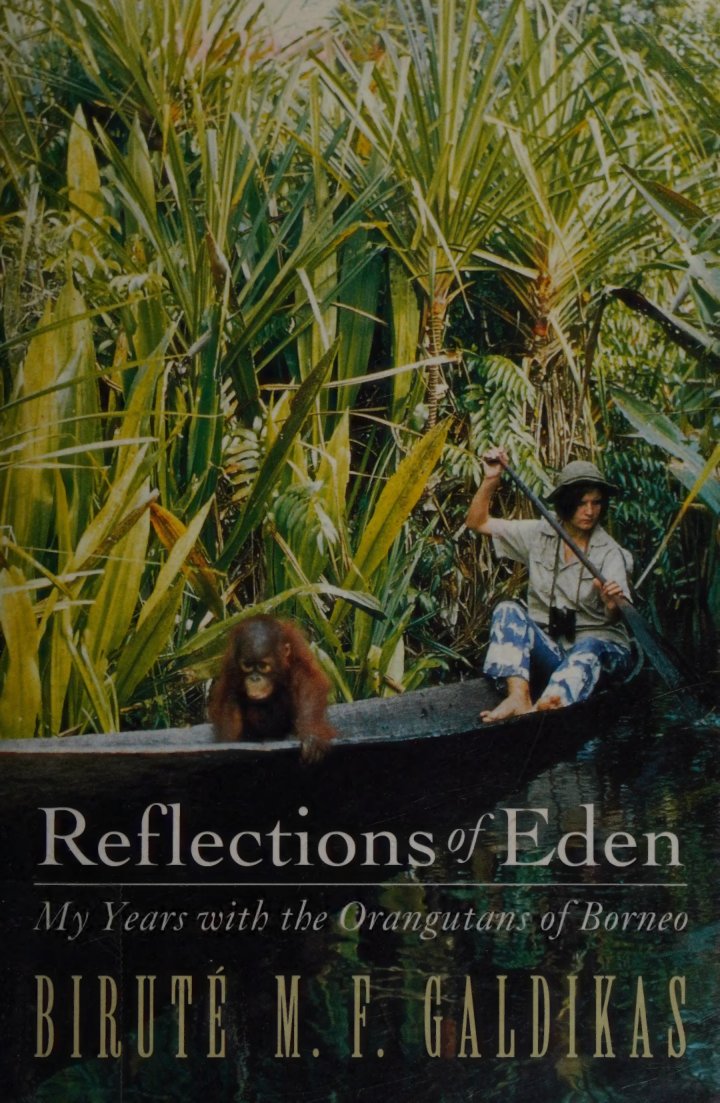 Cover of Reflections of Eden : my years with the orangutans of Borneo