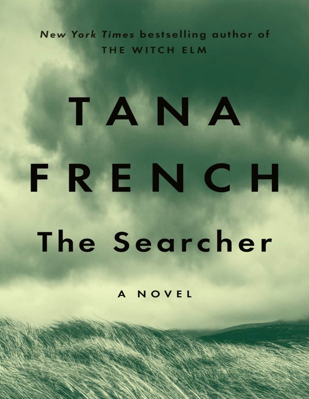 Cover of The Searcher: A Novel: A Novel