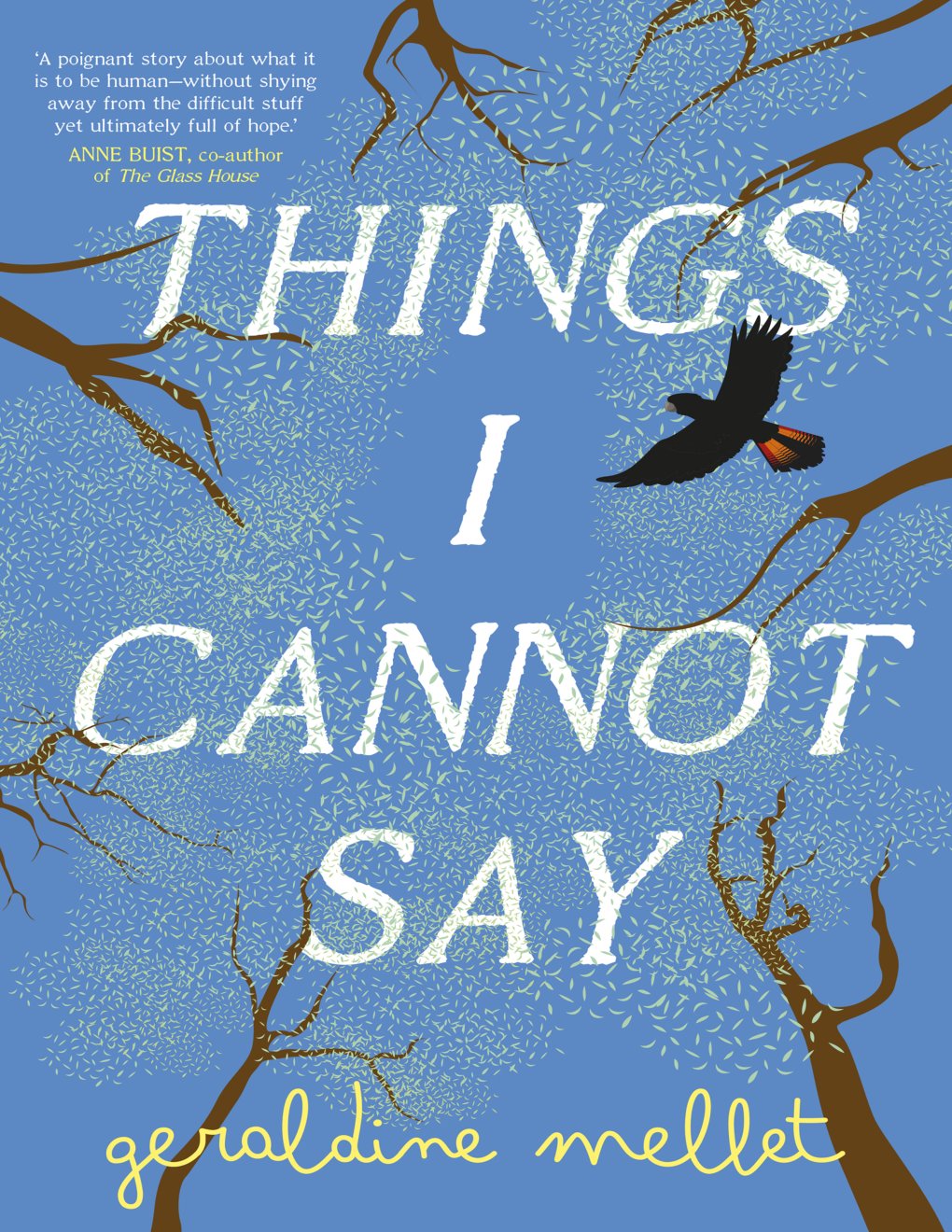 Cover of Things I Cannot Say