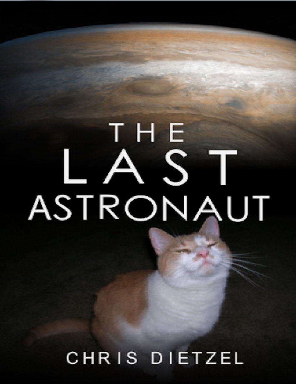 Cover of The Last Astronaut (2017)