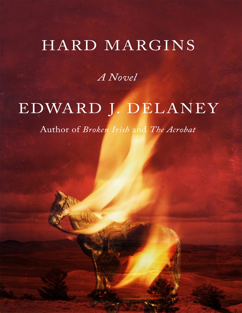 Cover of Hard Margin