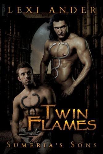 Cover of Twin Flames (2012)