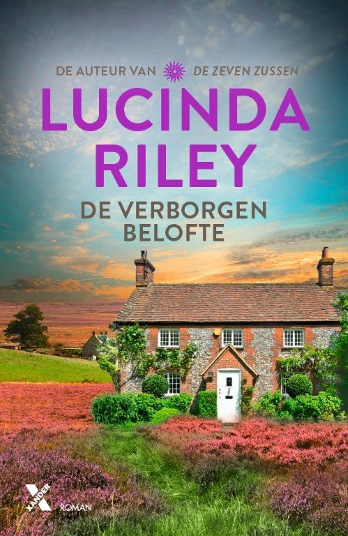 Cover of De verborgen belofte (1993)