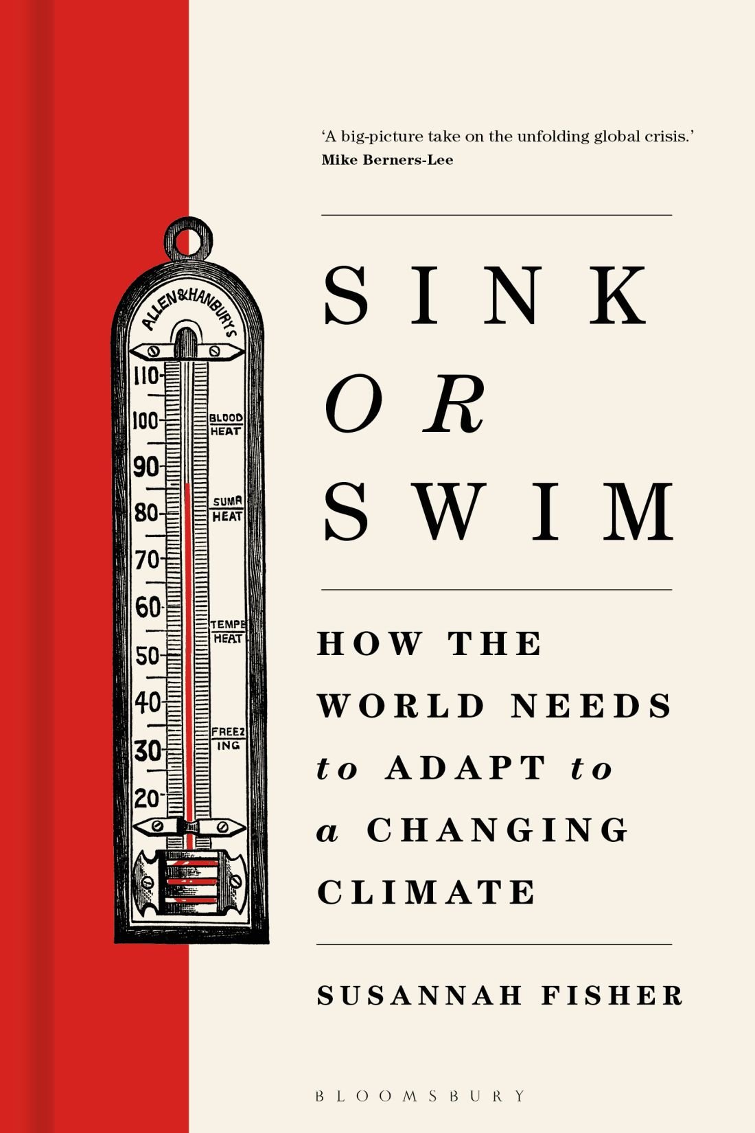 Cover of Sink or Swim (2010)