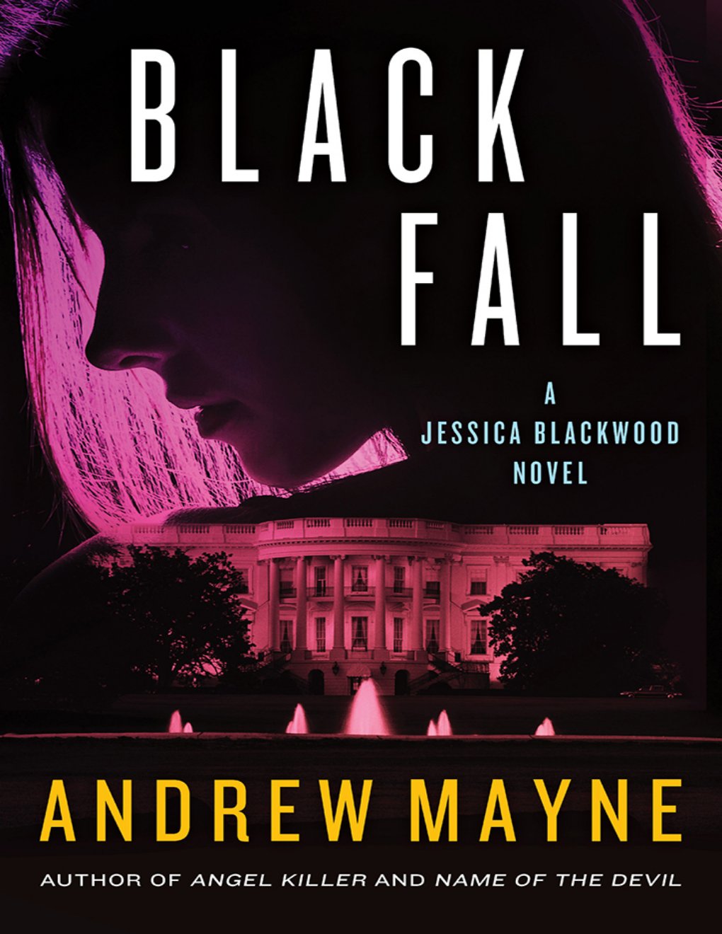 Cover of Black Fall