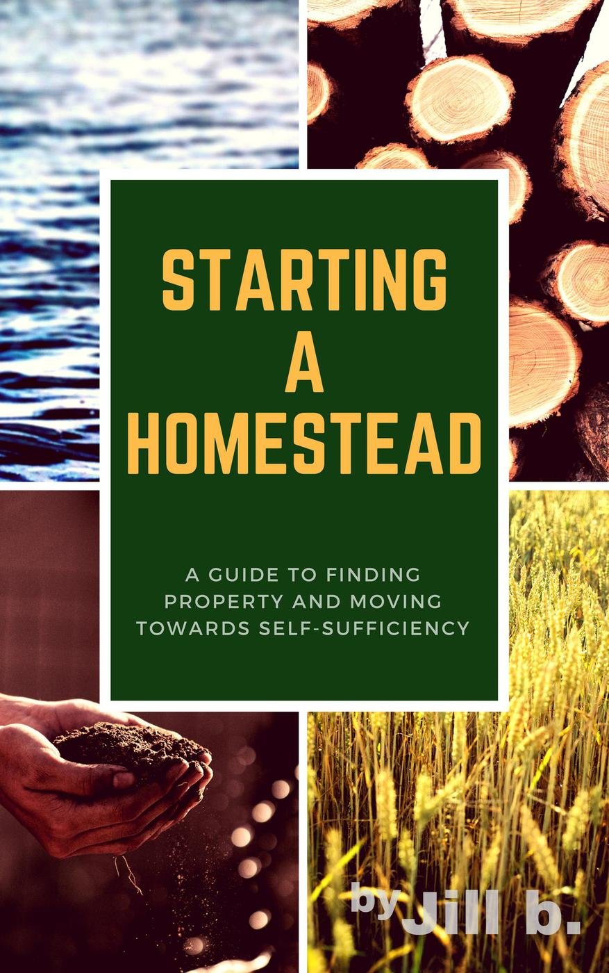 Cover of Starting a Homestead (2000)