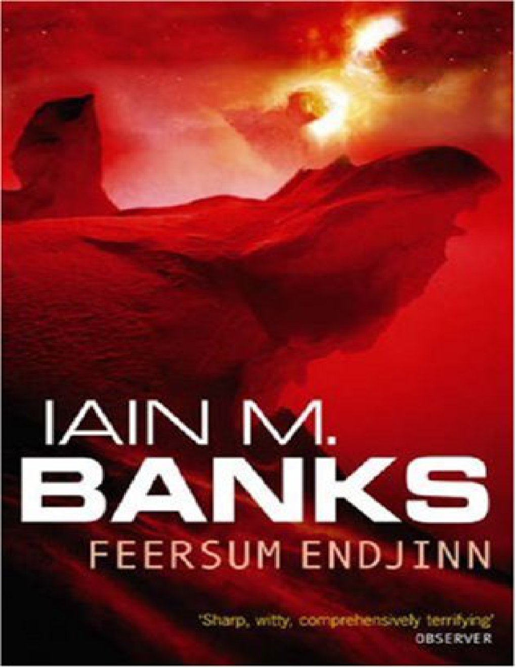 Cover of Feersum endjinn