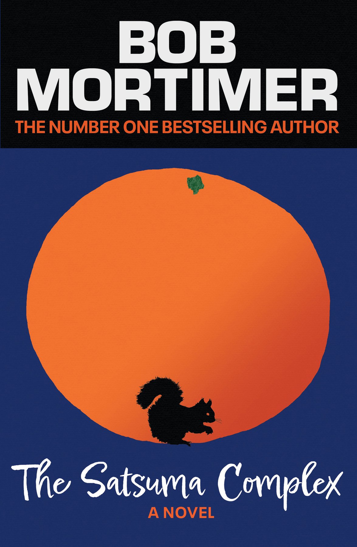 Cover of The Satsuma Complex (2022)