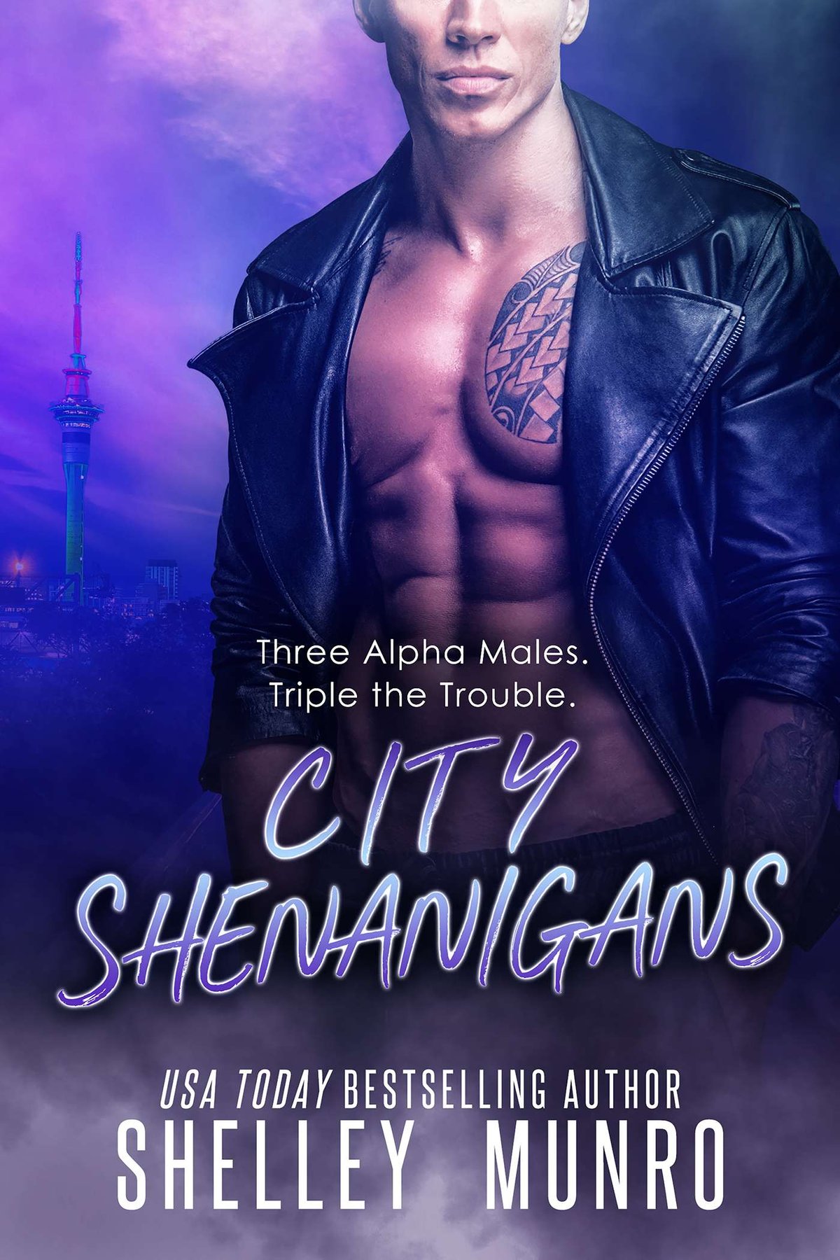 Cover of City Shenanigans (2013)
