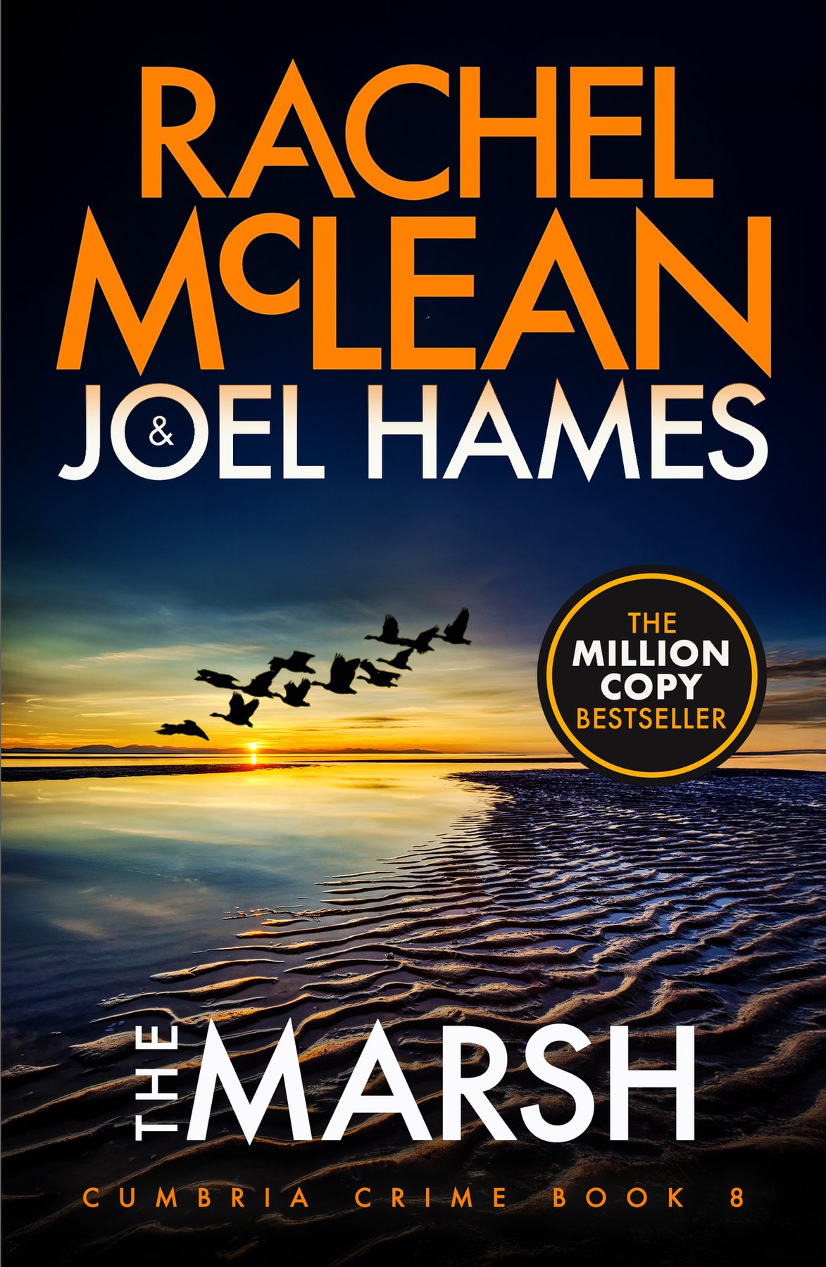 Cover of The Marsh (Cumbria Crime Book 8)