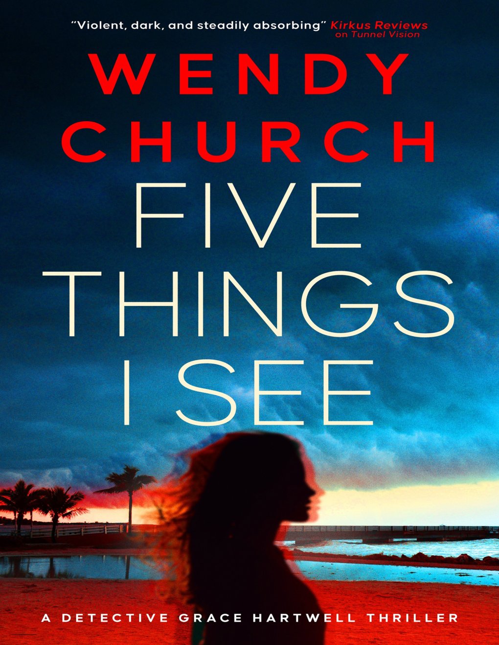 Cover of Five Things I See