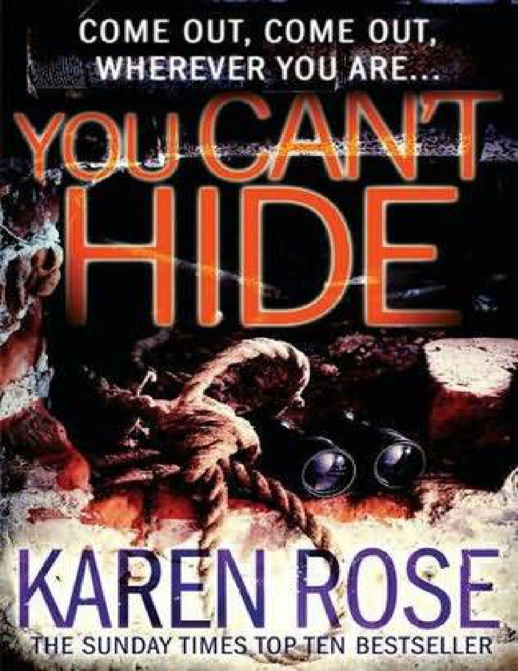Cover of You Can't Hide (2004)