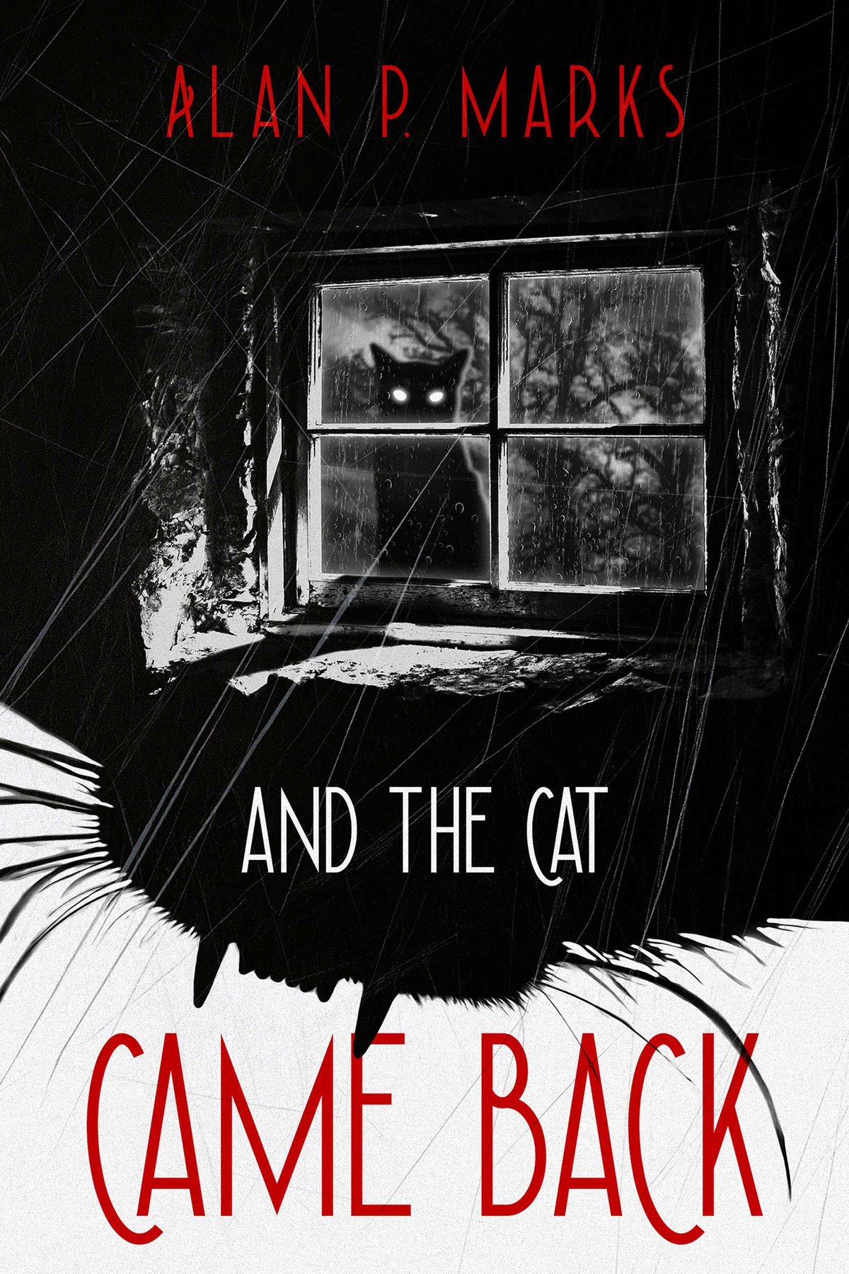 Cover of And the Cat Came Back