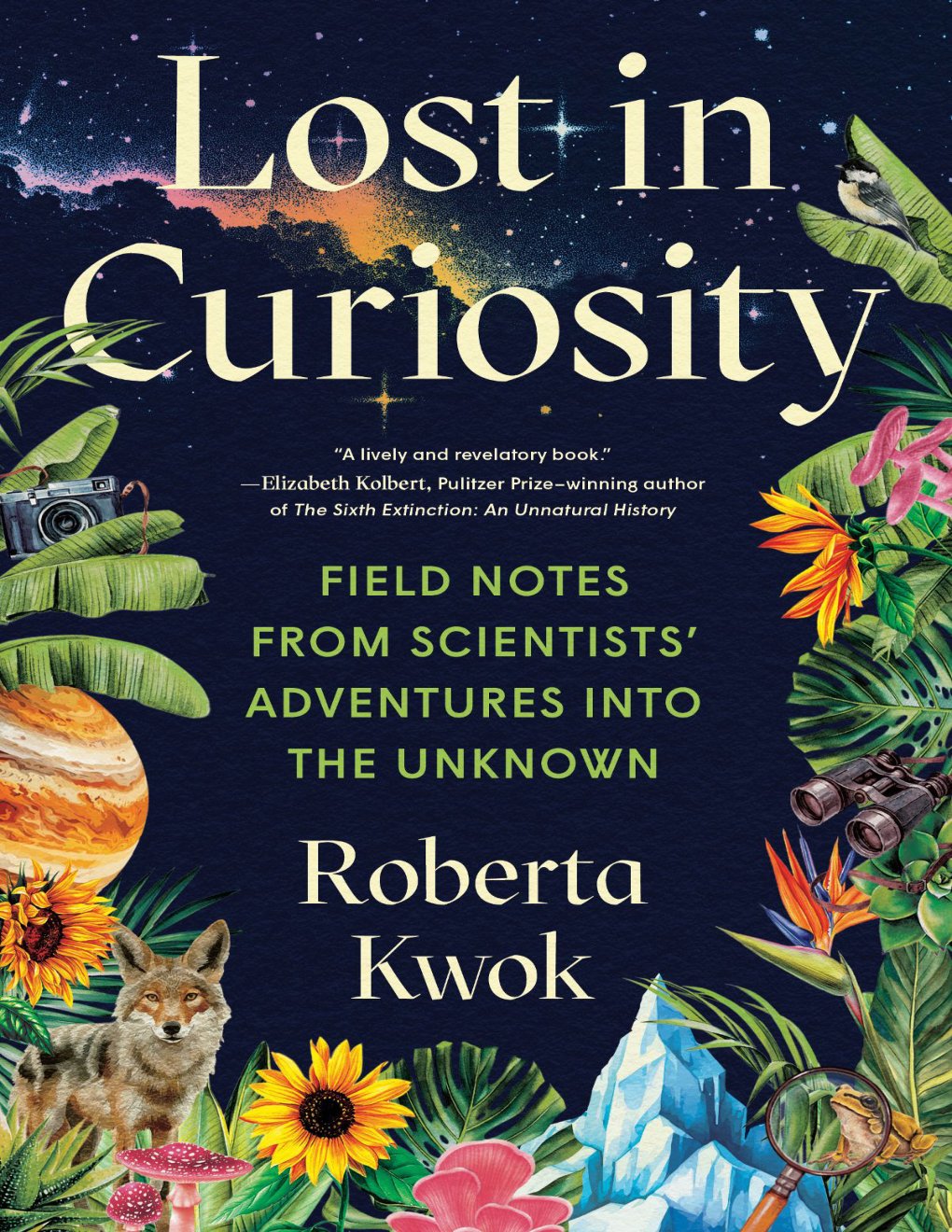 Cover of Lost in Curiosity (1515)