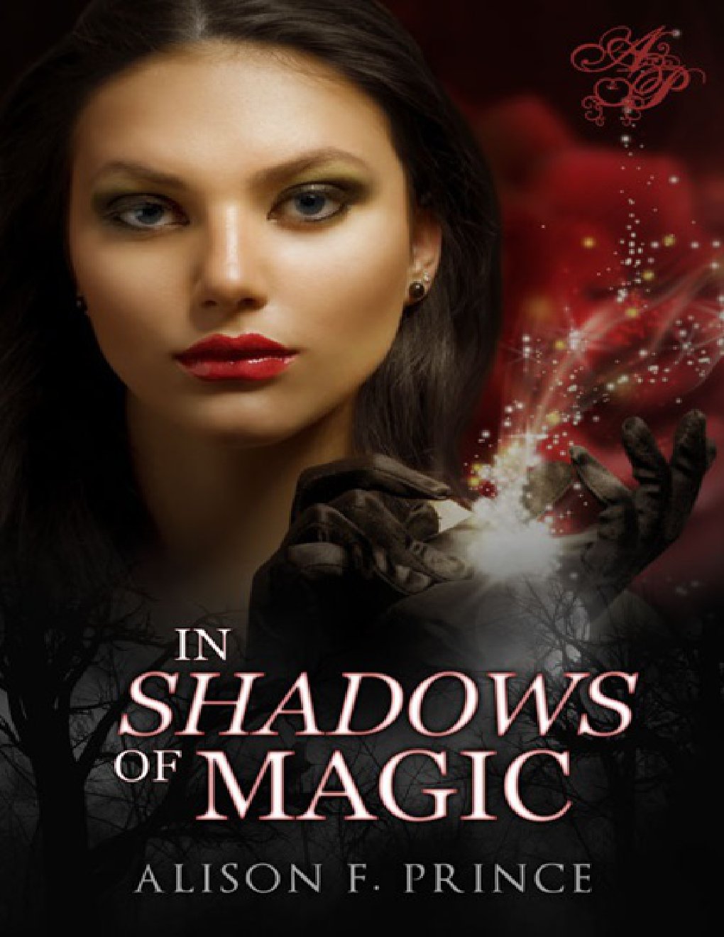 Cover of In Shadows of Magic (2013)