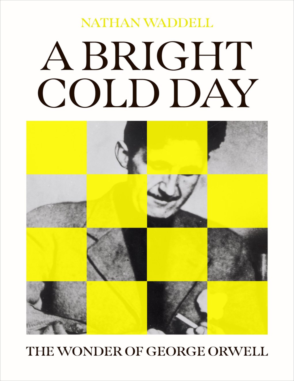 Cover of A Bright Cold Day