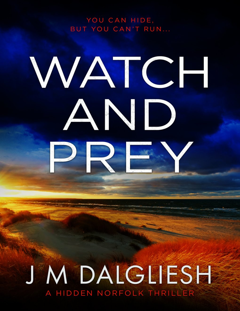 Cover of Watch and Prey: A Hidden Norfolk Thriller (Book 15)