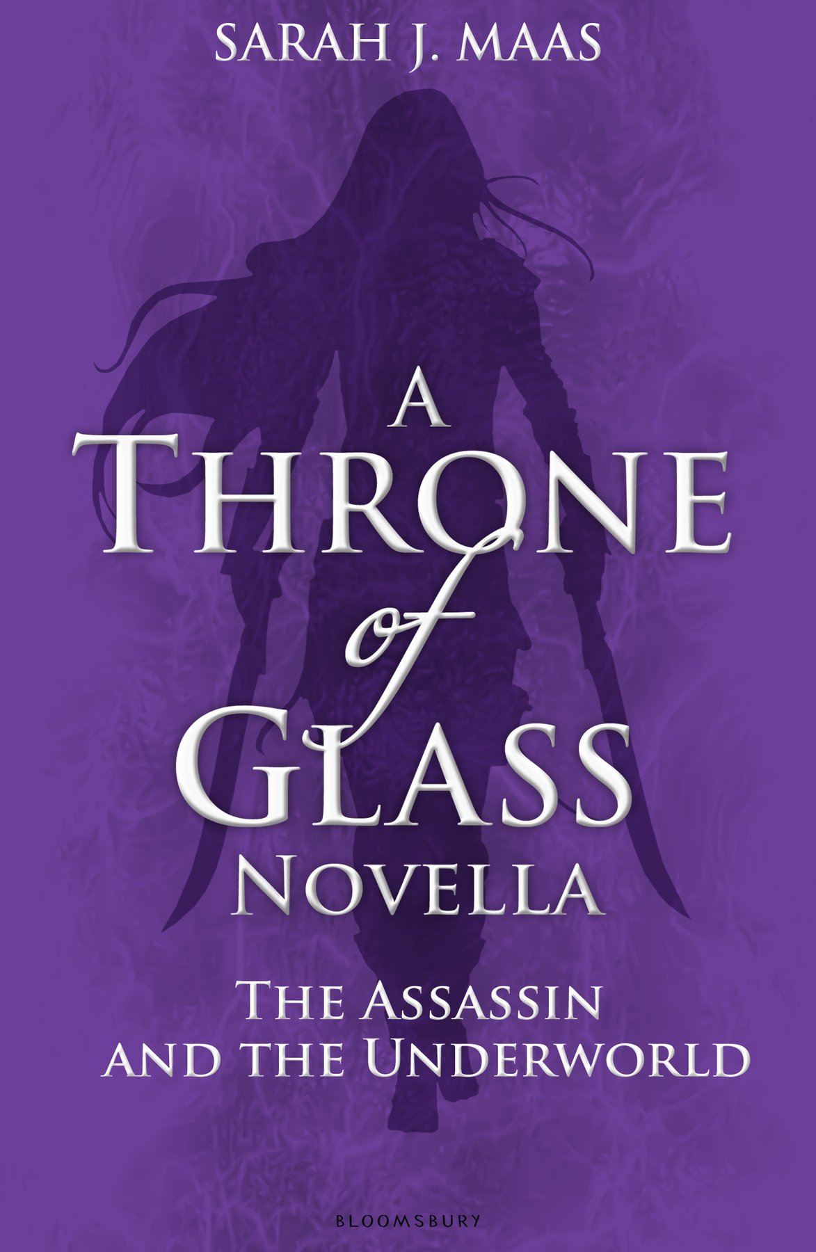 Cover of The Assassin and the Underworld (2012)
