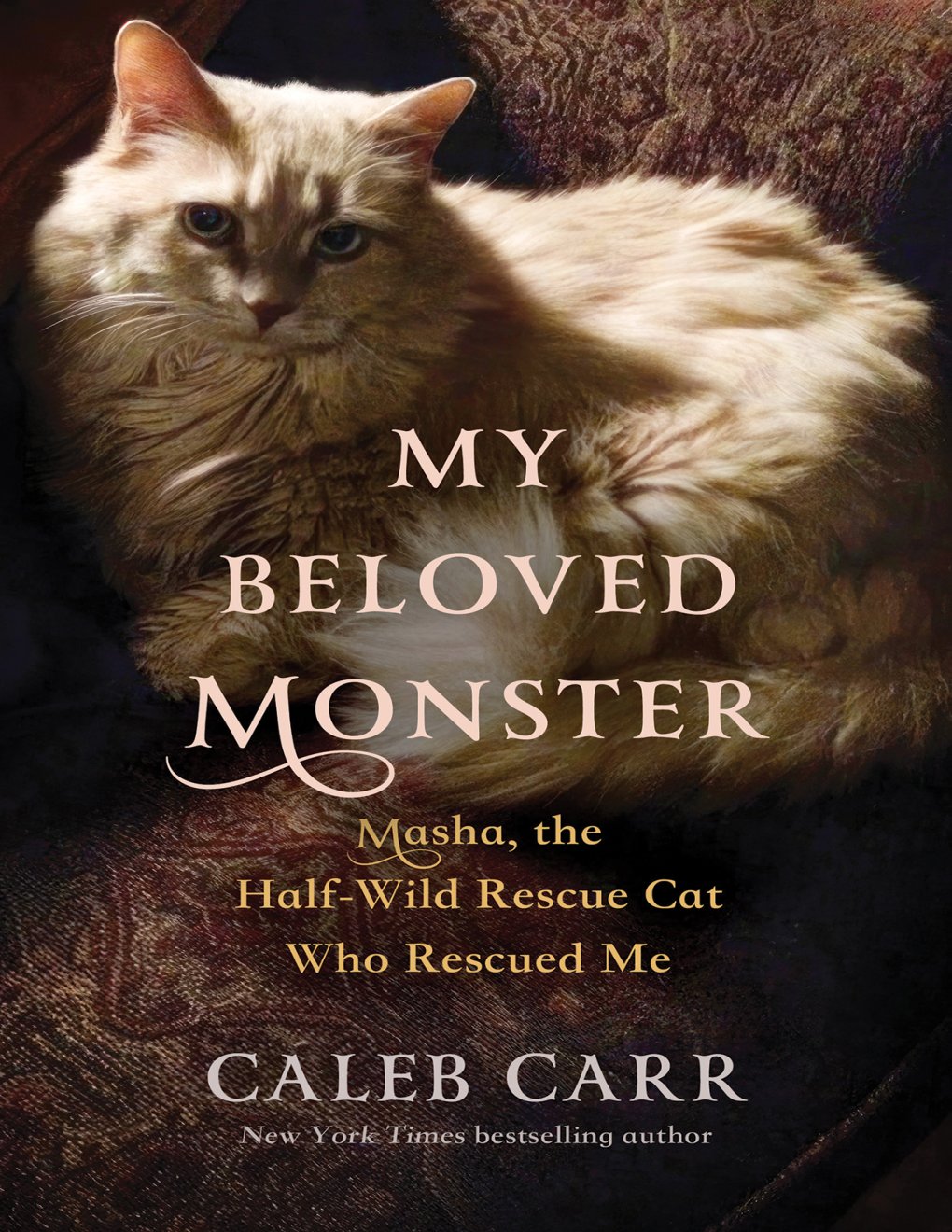 Cover of My Beloved Monster