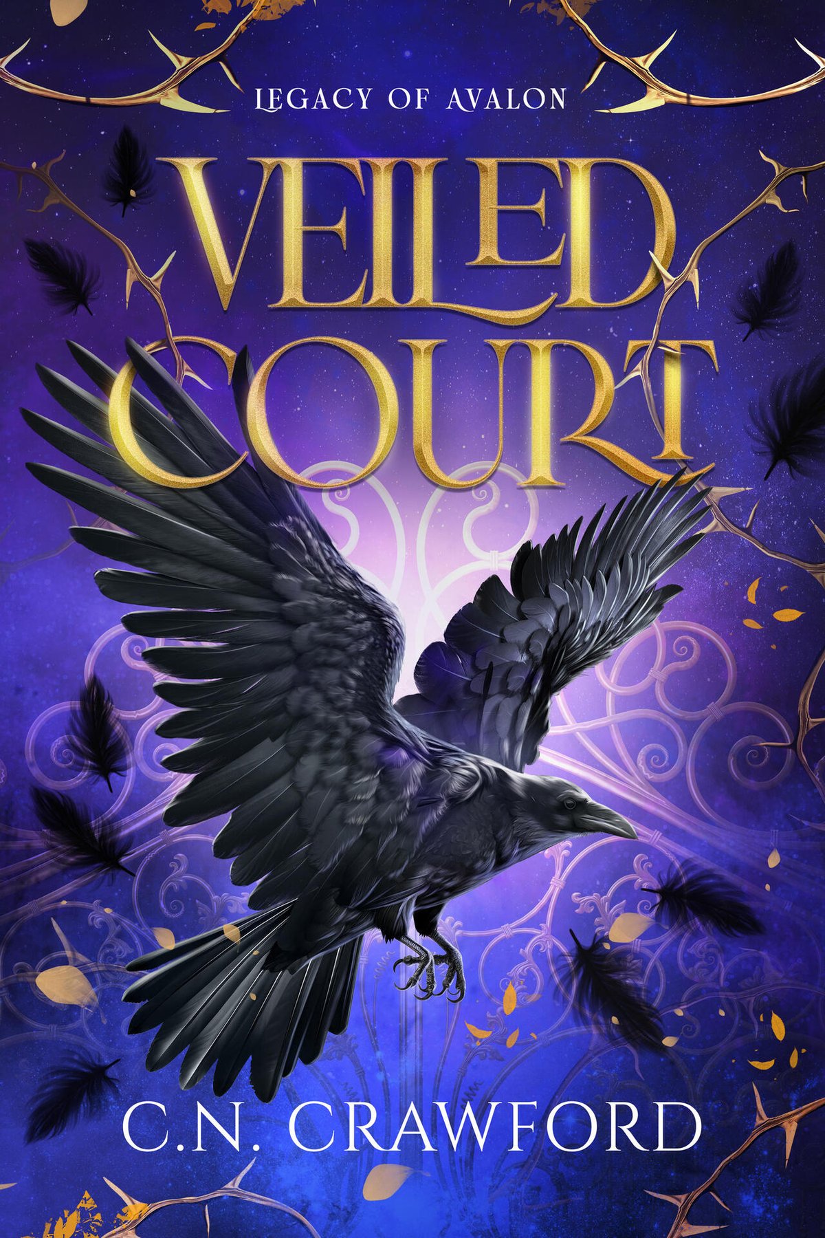Cover of Veiled Court- A Slow Burn Romantasy (1665)