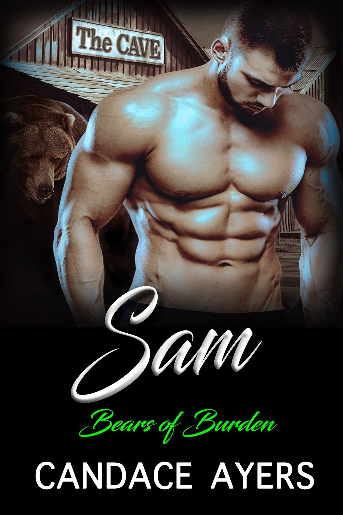 Cover of SAM
