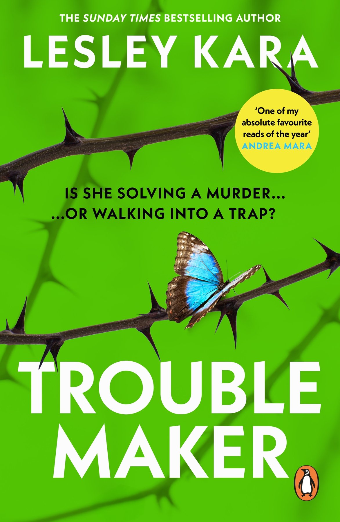 Cover of Troublemaker