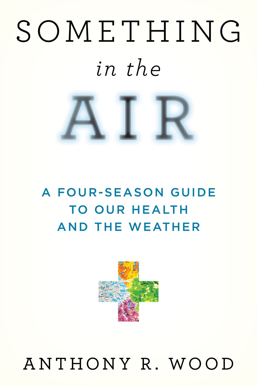 Cover of Something in the Air (1800)