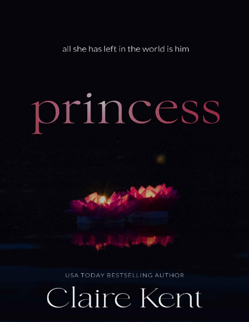 Cover of Princess (Kindled Book 2)