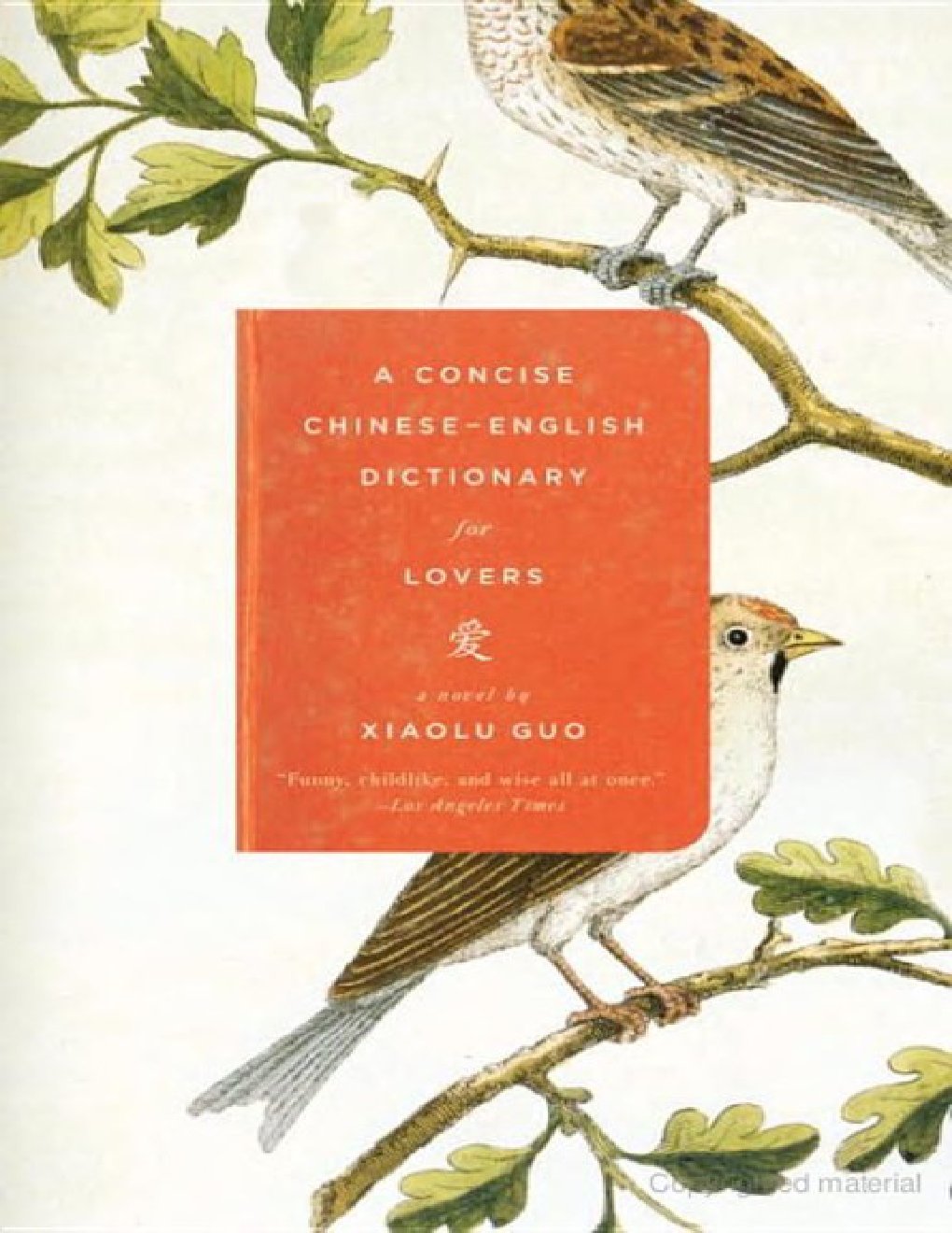 Cover of A Concise Chinese-English Dictionary for Lovers