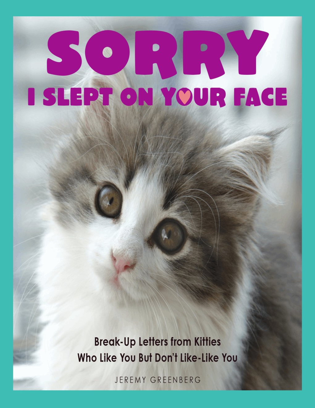Cover of Sorry I Slept on Your Face
