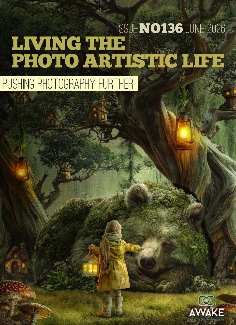 Cover of PHOTO ARTISTIC LIFE
