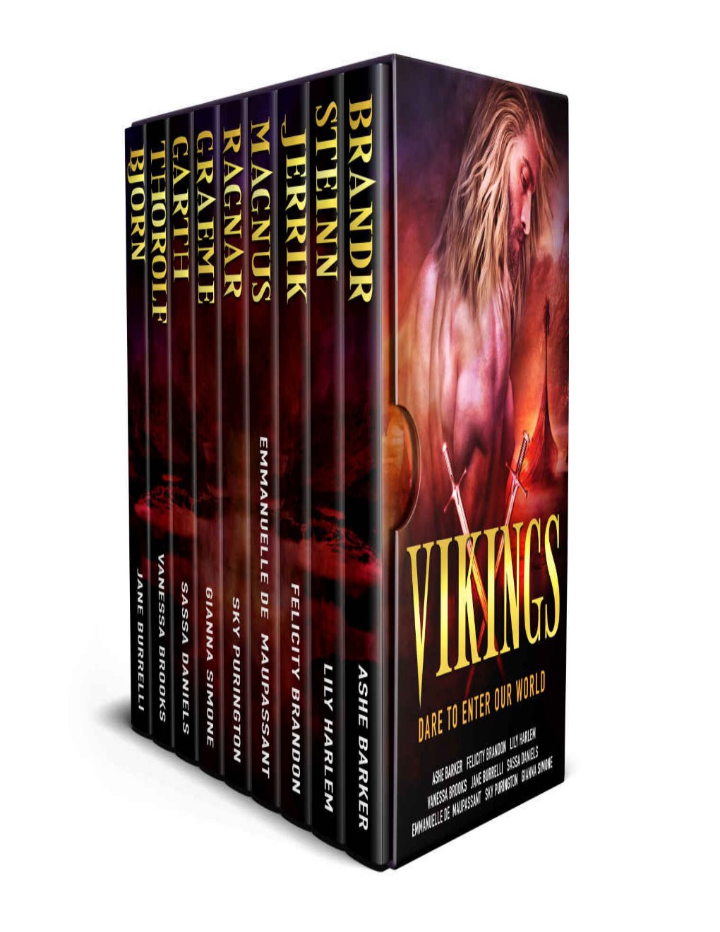 Cover of Vikings: nine warrior-hero historical romances