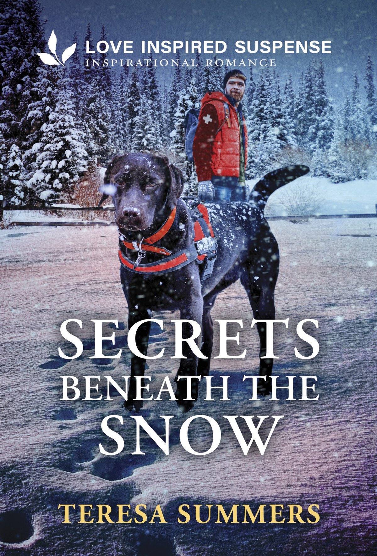 Cover of Secrets Beneath the Snow