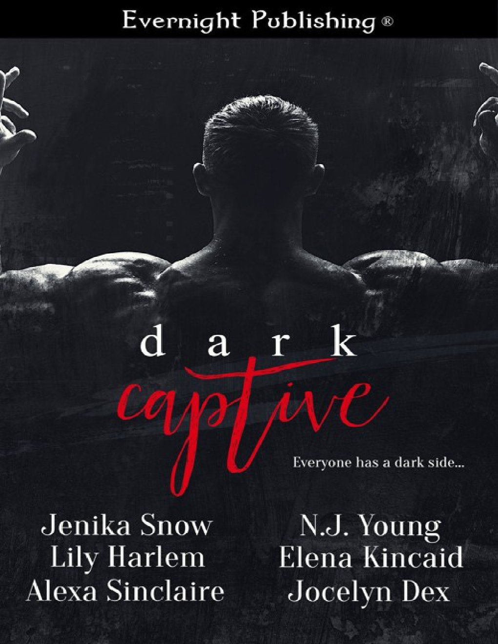 Cover of Dark Captive