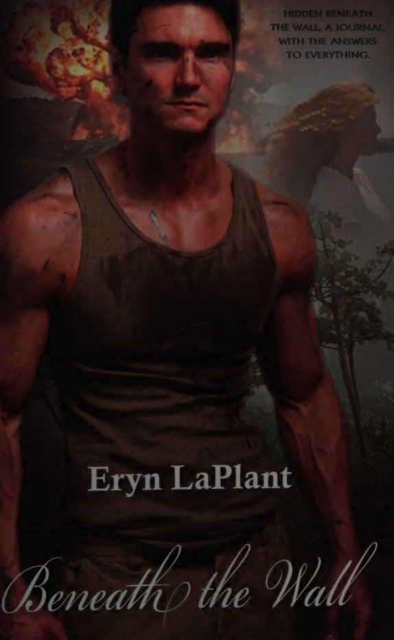 Cover of Beneath the wall