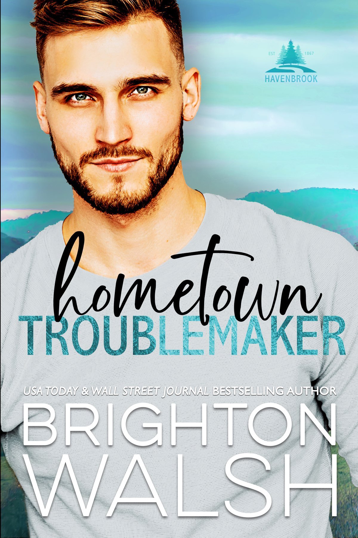 Cover of Hometown Troublemaker
