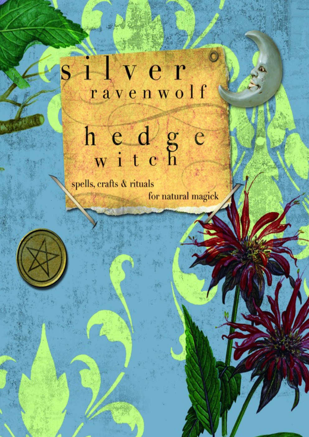 Cover of HedgeWitch