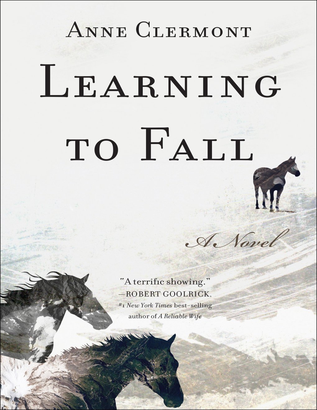 Cover of Learning to Fall