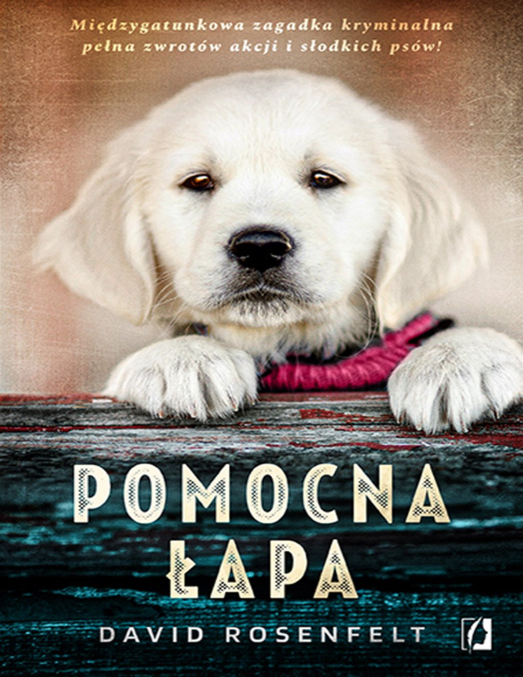 Cover of Pomocna łapa