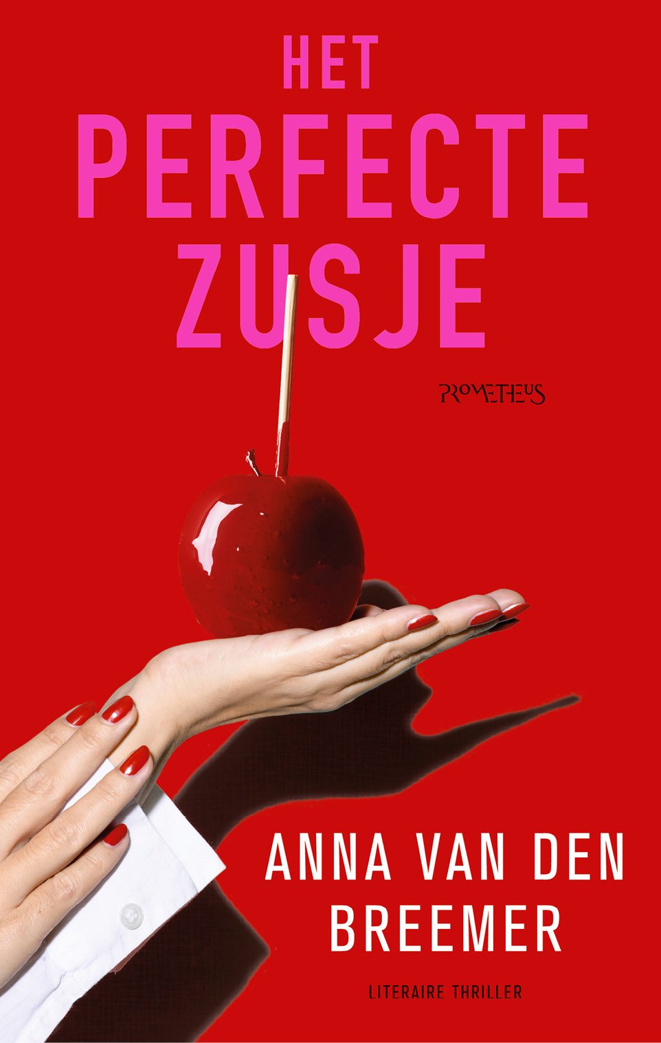 Cover of Het perfecte zusje (2023)