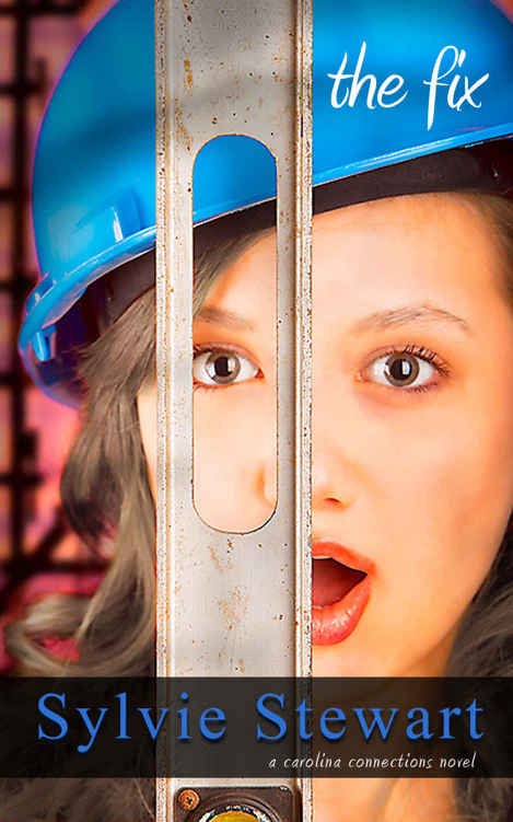 Cover of The Fix (Carolina Connections #1)