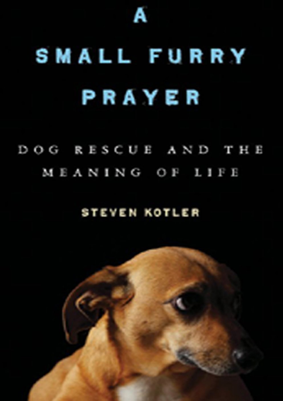 Cover of A Small Furry Prayer
