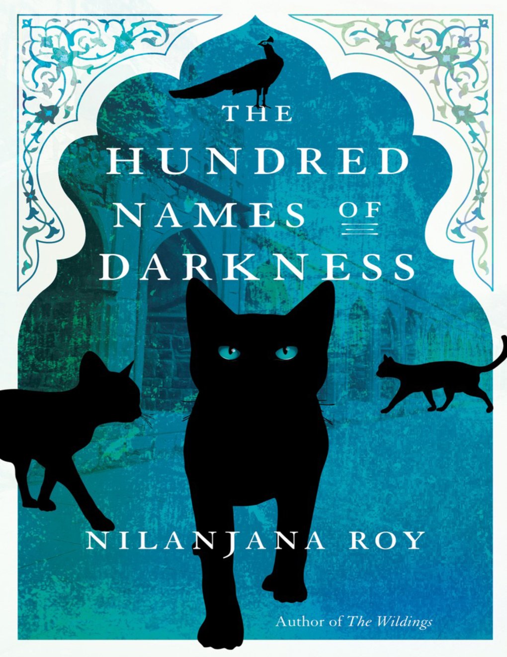 Cover of The Hundred Names of Darkness (2013)