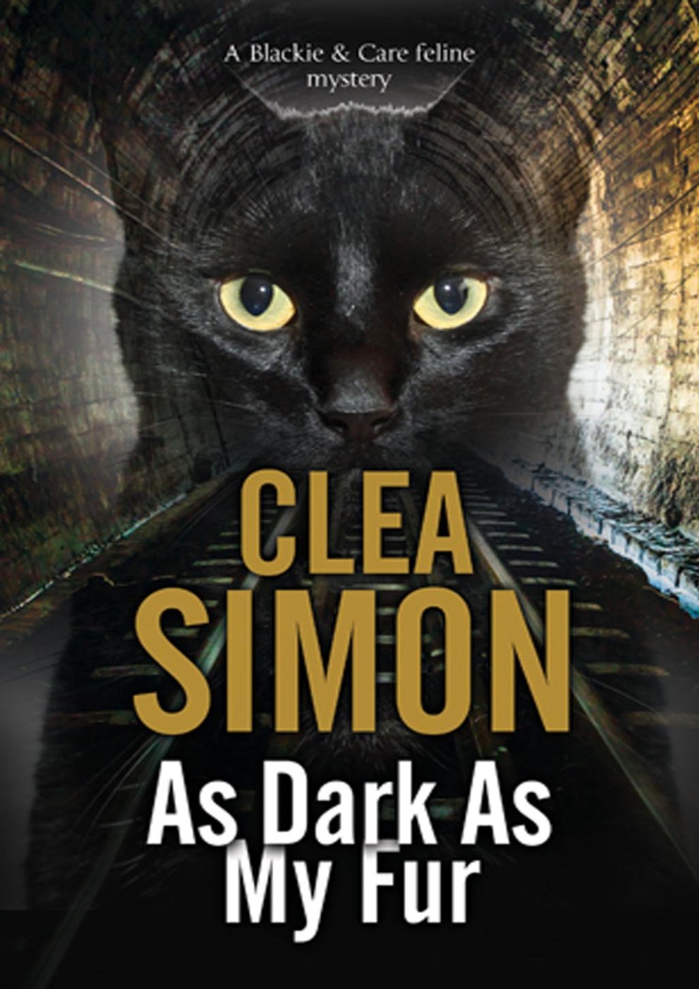 Cover of As Dark As My Fur