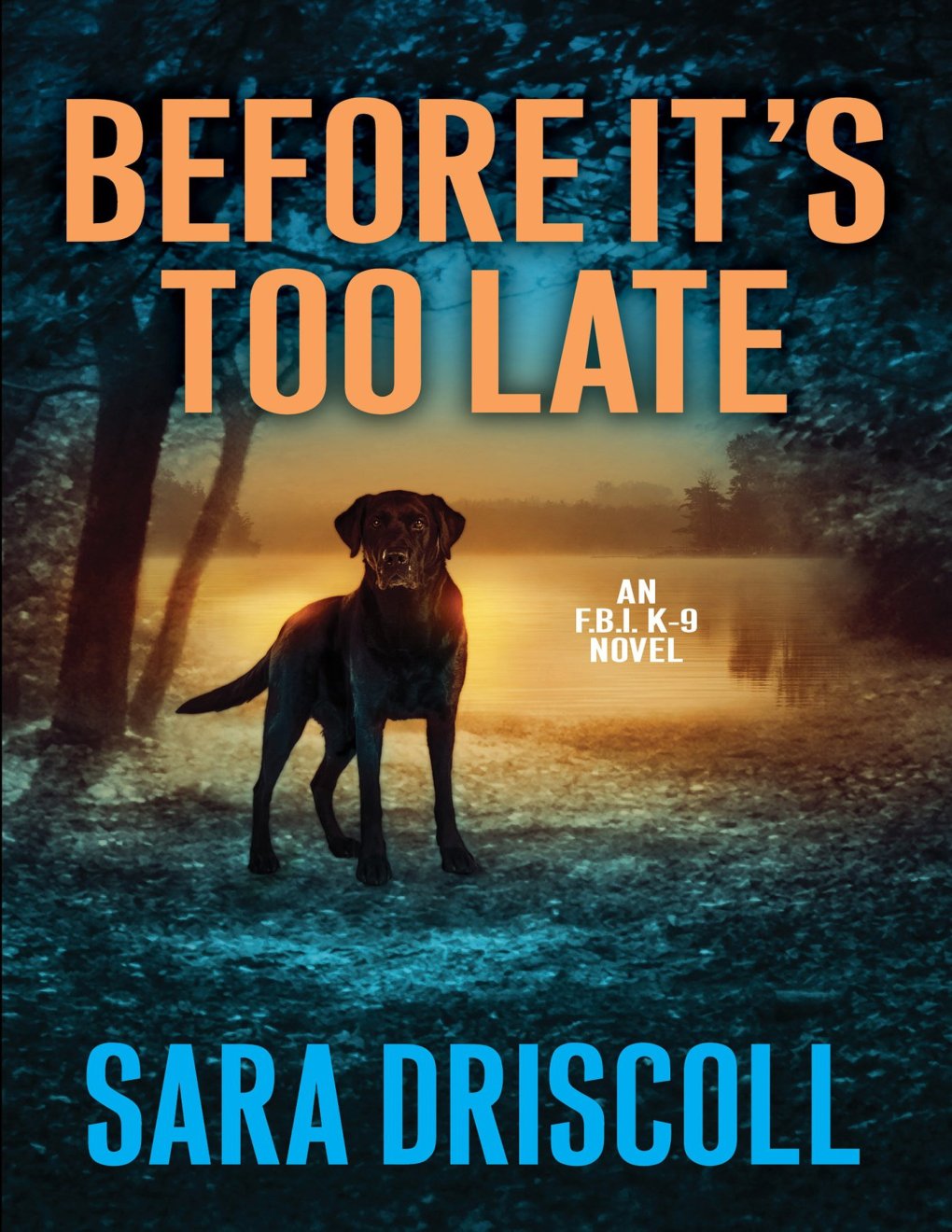 Cover of Before It's Too Late